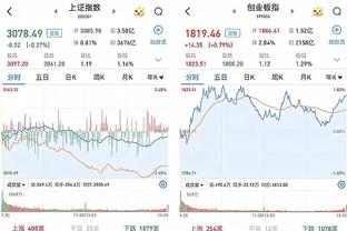 开云官网在线登录入口网址查询截图2